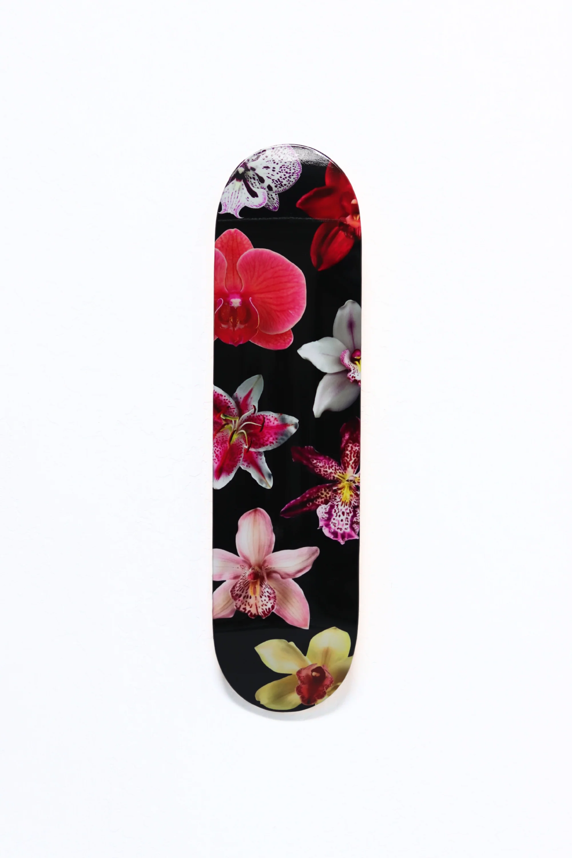 ORCHID - SINGLE - Image 4
